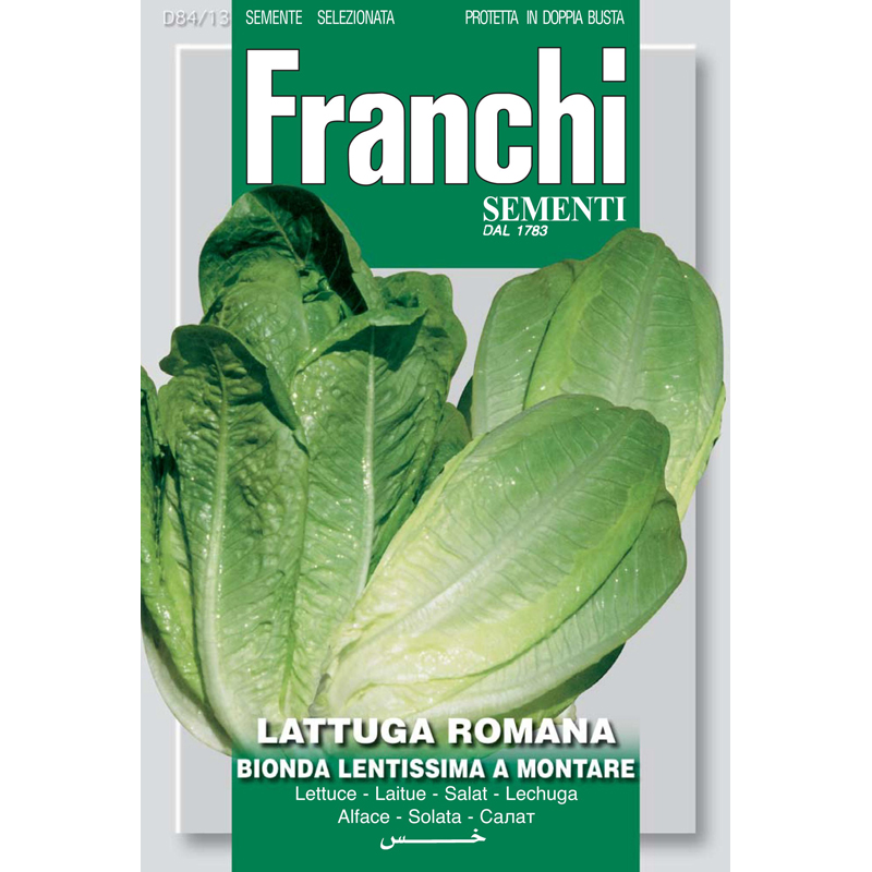 Romaine Lettuce Lentissima